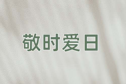 成语敬时爱日