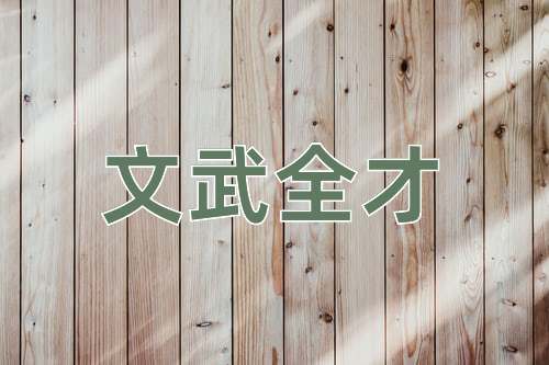 成语文武全才