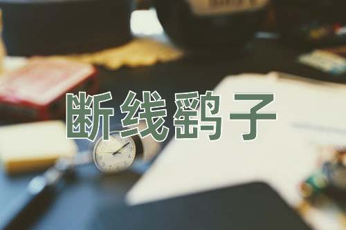 成语断线鹞子