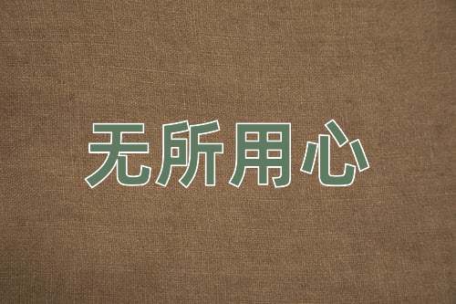 成语无所用心