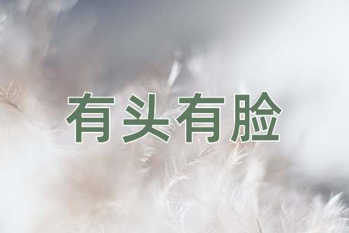 成语有头有脸