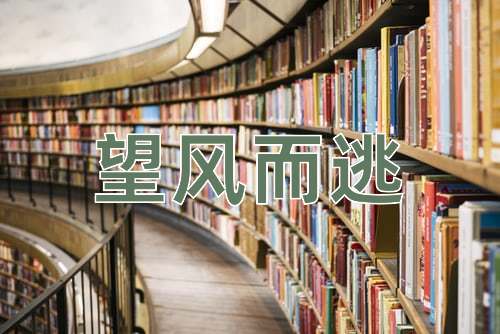 成语望风而逃