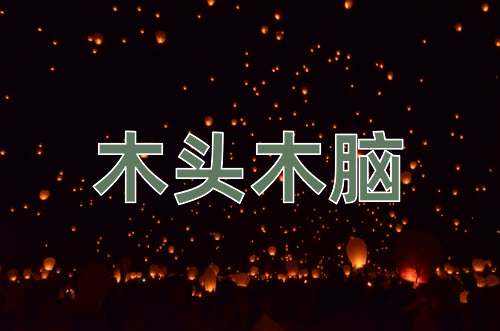 成语木头木脑