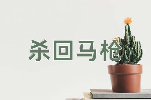 成语杀回马枪