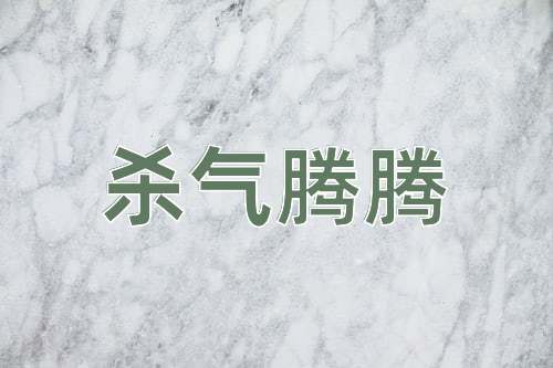 成语杀气腾腾