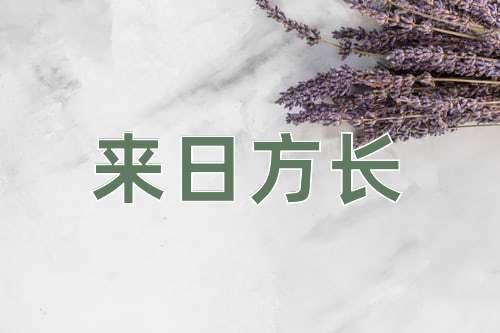 成语来日方长