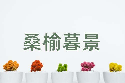 成语桑榆暮景
