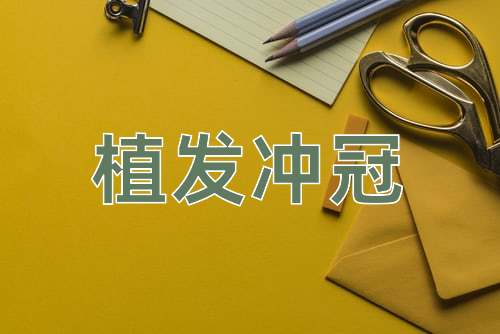 成语植发冲冠