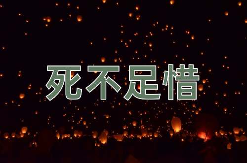 成语死不足惜
