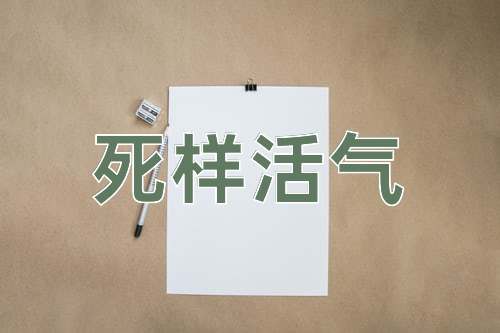 成语死样活气