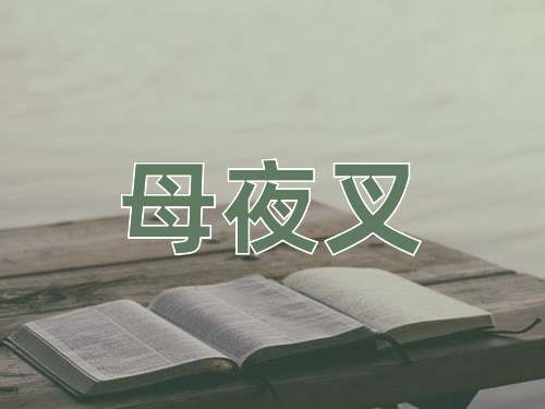 成语母夜叉