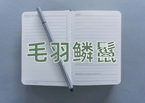 成语毛羽鳞鬣