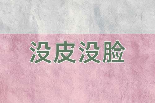 成语没皮没脸