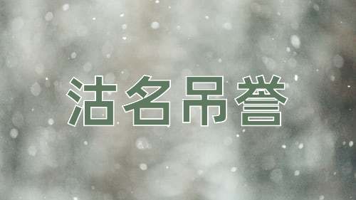 成语沽名吊誉