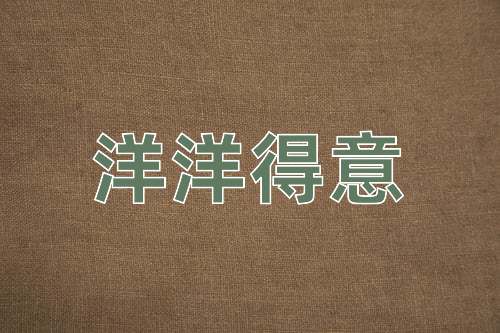 成语洋洋得意