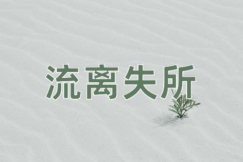 成语流离失所
