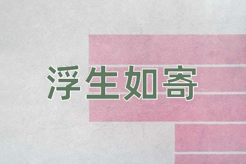 成语浮生如寄