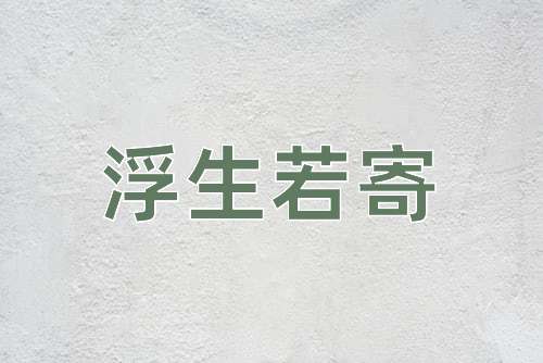 成语浮生若寄