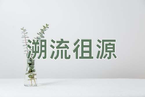 成语溯流徂源