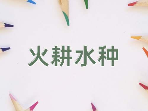成语火耕水种
