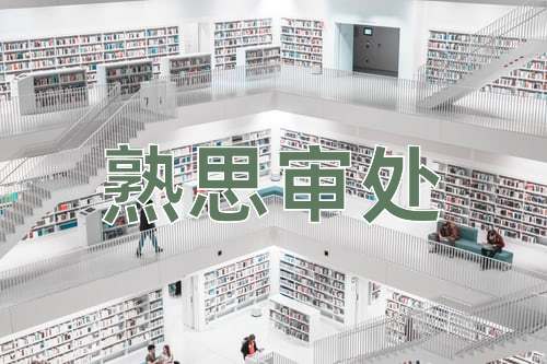 成语熟思审处