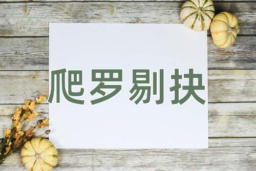 成语爬罗剔抉