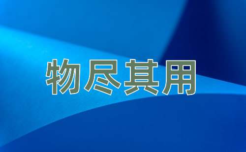 成语物尽其用