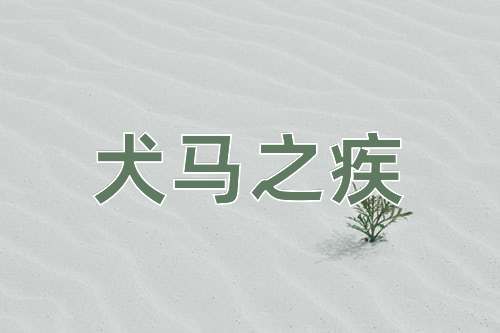 成语犬马之疾