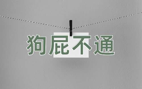 成语狗屁不通