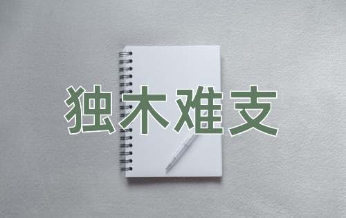 成语独木难支