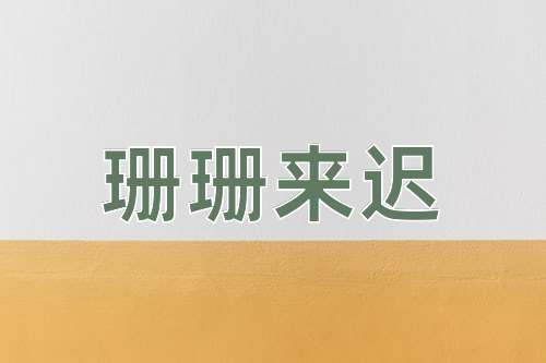 成语珊珊来迟