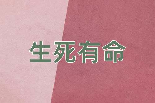 成语生死有命
