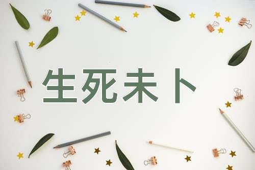成语生死未卜