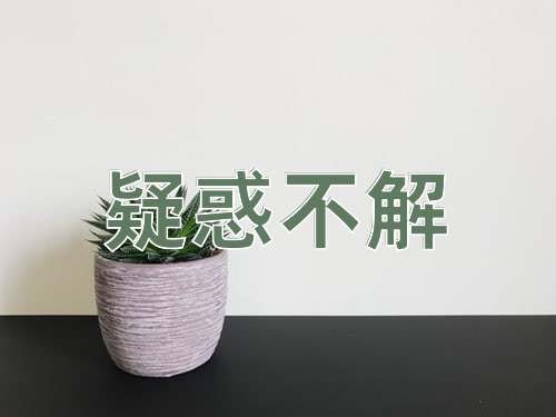成语疑惑不解