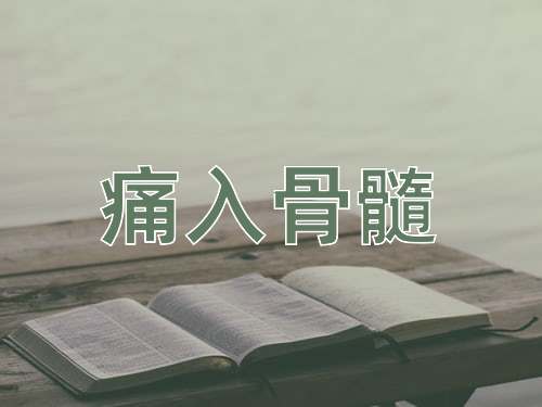 成语痛入骨髓