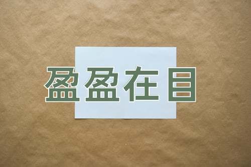 成语盈盈在目