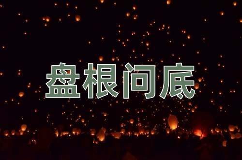 成语盘根问底