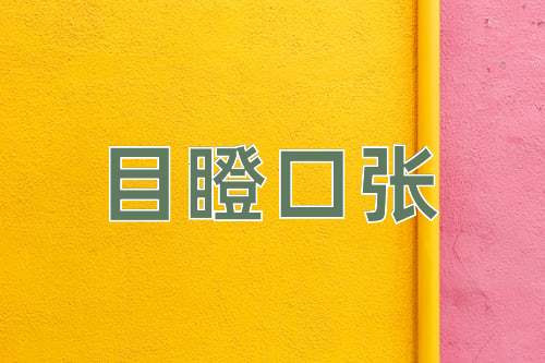 成语目瞪口张