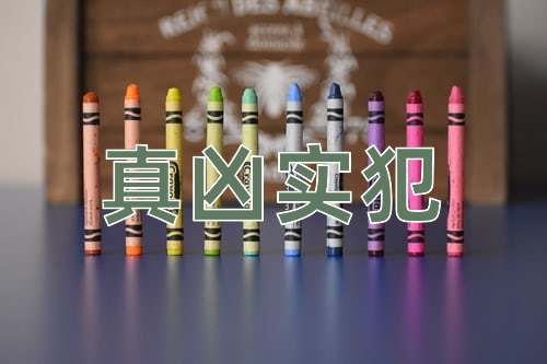 成语真凶实犯