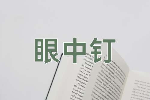 成语眼中钉