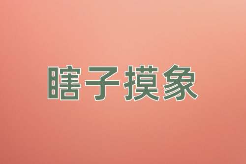 成语瞎子摸象