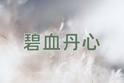 成语碧血丹心