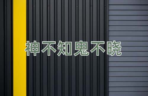 成语神不知鬼不晓