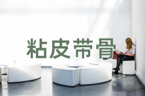 成语粘皮带骨