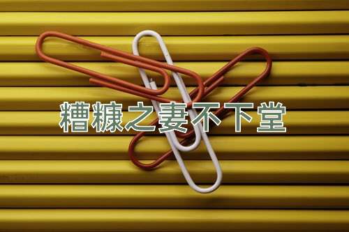 成语糟糠之妻不下堂