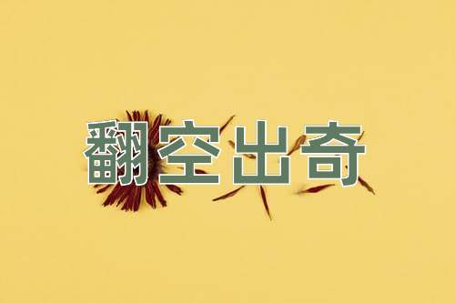 成语翻空出奇