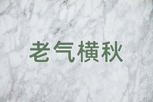 成语老气横秋