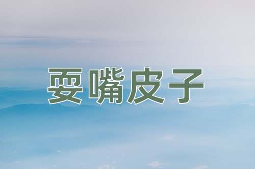 成语耍嘴皮子