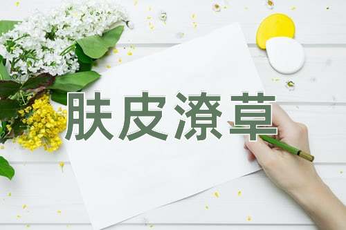 成语肤皮潦草