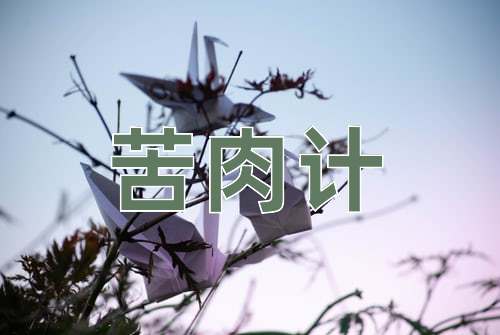成语苦肉计